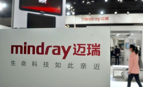 電子產品銷售龍頭獲青睞，下半年北上資金增持前15強出爐，兩股獲增持超百億